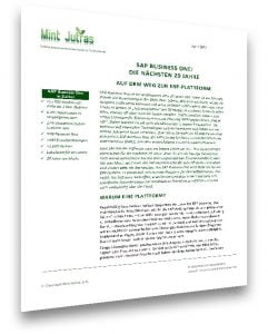 conesprit - der SAP Partner für Business One in Baden Württemberg