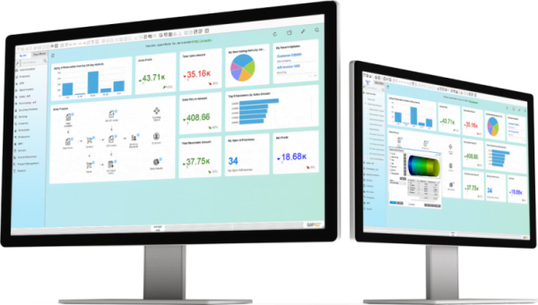 SAP Business One System