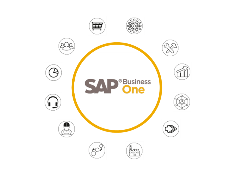 Module SAP Business One