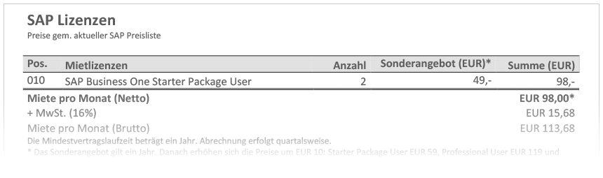 SAP Business One Kostenbeispiel SAP Business One Kostenbeispiel