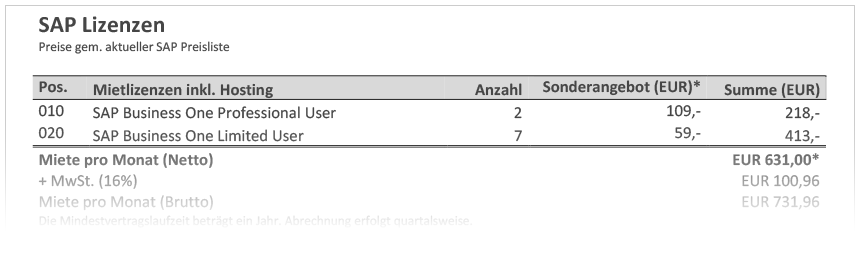 SAP Business One Kostenbeispiel SAP Business One Kostenbeispiel