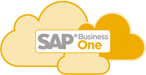 SAP Business One Cloud