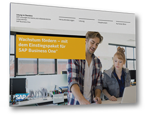 SAP Business One Einstiegspaket
