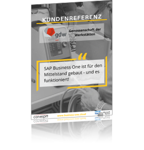 SAP Business One Kundenreferenz SAP Business One Kundenreferenz