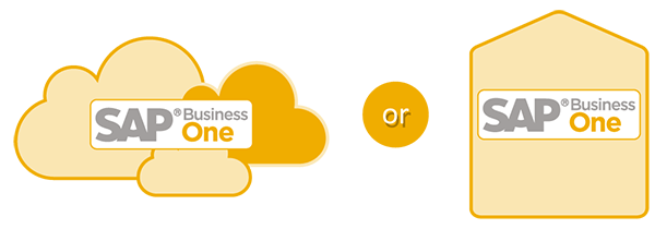 SAP Business One Cloud SAP Business One Cloud