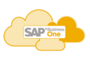SAP Business One in der Cloud SAP Business One in der Cloud