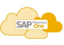 SAP Business One in der Cloud SAP Business One in der Cloud