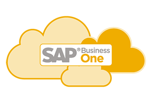 SAP Business One in der Cloud